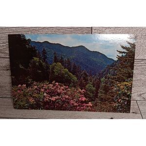 Vintage Postcard Great‎ Smokey Mountains National Park Newfound Gap Ephemera